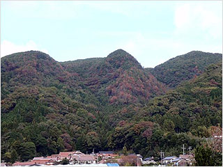 市内松くい虫被害の状況（森林の被害）